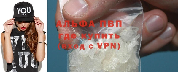 индика Вязьма