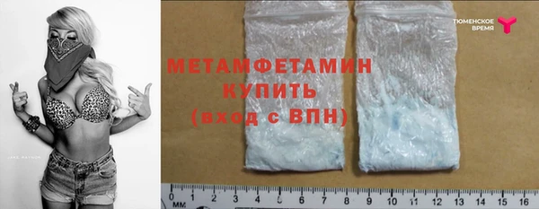 индика Вязьма