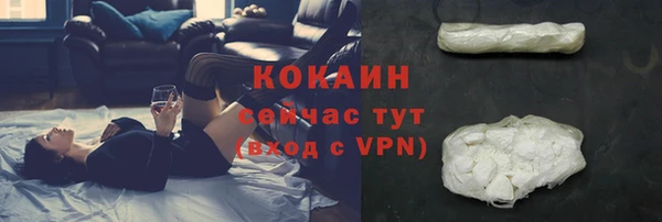 индика Вязьма