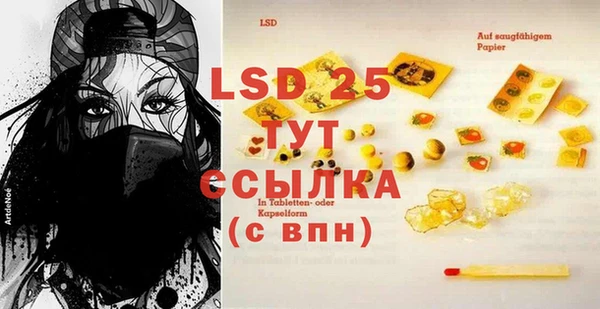 индика Вязьма