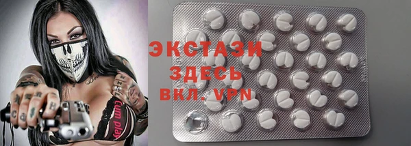 индика Вязьма