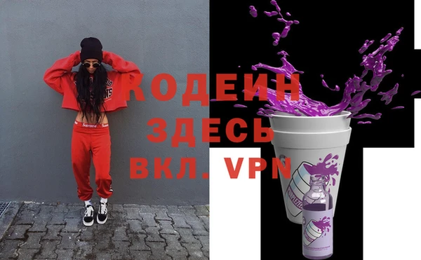 индика Вязьма