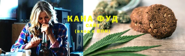 индика Вязьма
