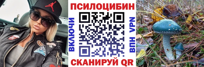 Галлюциногенные грибы мухоморы  магазин    Партизанск 